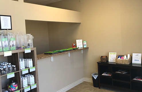 Front desk of a lice clinic